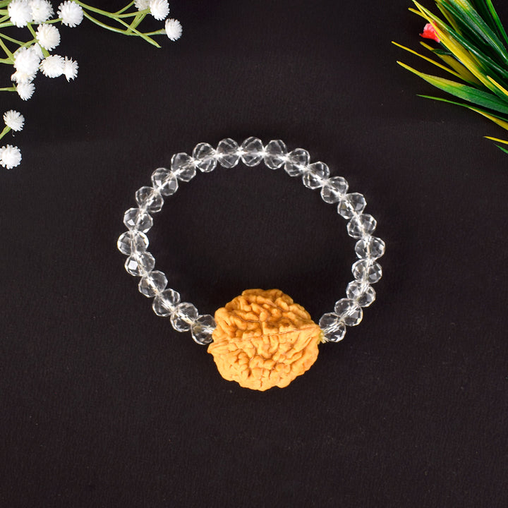 2 Mukhi Rudraksha Bracelet with Sphatik Crystal Beads for Spiritual Healing. India’s Largest Pooja Accessories Brand - www.satvikworld.com