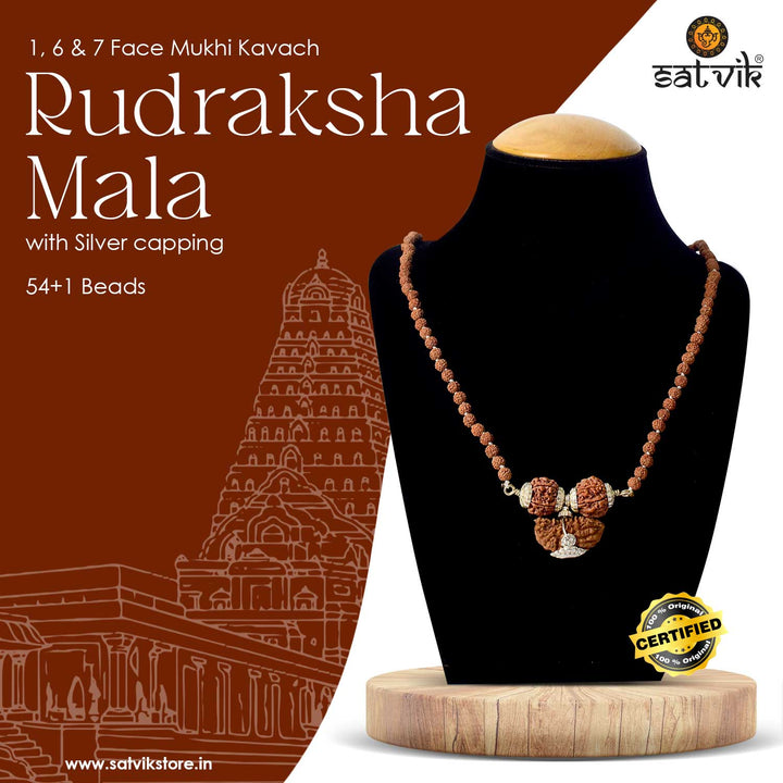 Certified 1, 6 & 7 Mukhi Rudraksha Kavach with silver capping – natural brown beads spiritual string from Nepal. India’s Premium Rudraksha Jap Mala Store- www.satvikworld.com