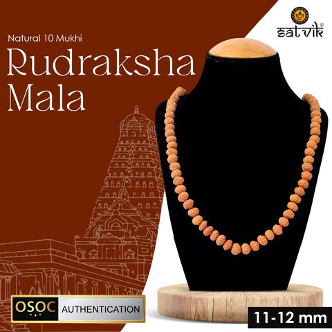 11-12mm 10 Mukhi Rudraksha Mala