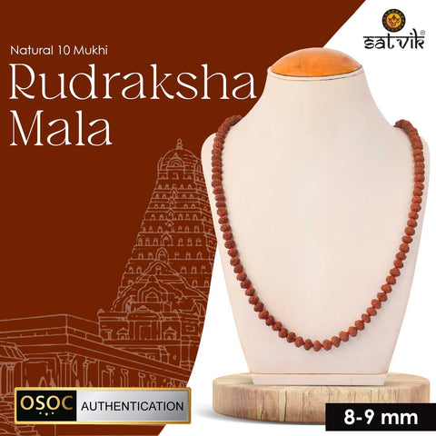 10 Mukhi Pathariya Rudraksha Mala 8-9mm