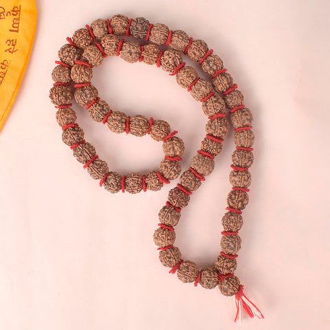 18mm 5 Mukhi Kanthi Pathriya Rudraksha Mala