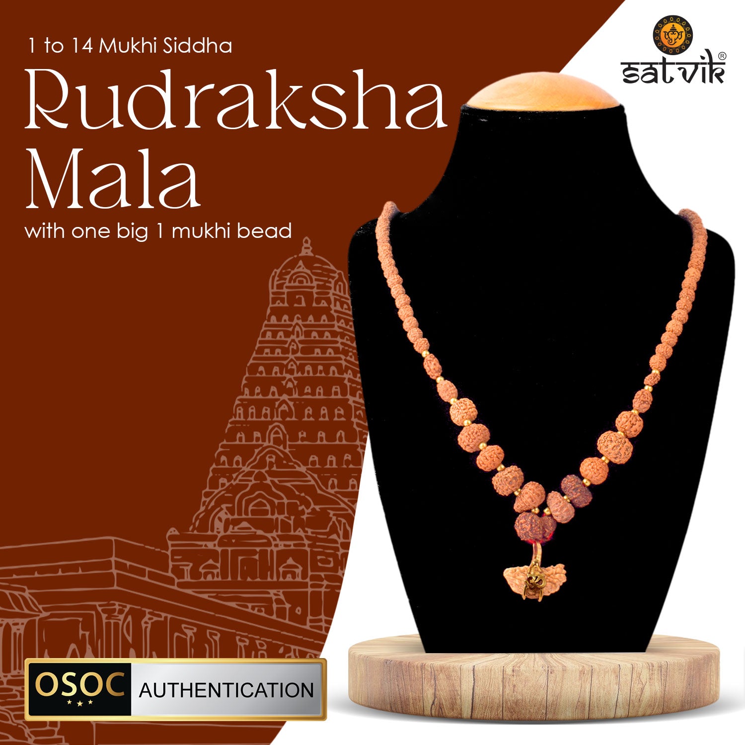100% Original Certified 1–14 Mukhi Siddh Rudraksha Mala with Big Mukhi