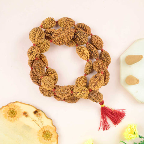 Certified 2 Mukhi Kantha Rudraksha Mala with brown beads for harmony, relationship healing, and emotional balance. India’s Premium Rudraksha Jap Mala Store- www.satvikworld.com

