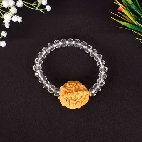 2 Mukhi Rudraksha Bracelet with Sphatik Crystal Beads for Spiritual Healing. India’s Largest Pooja Accessories Brand - www.satvikworld.com