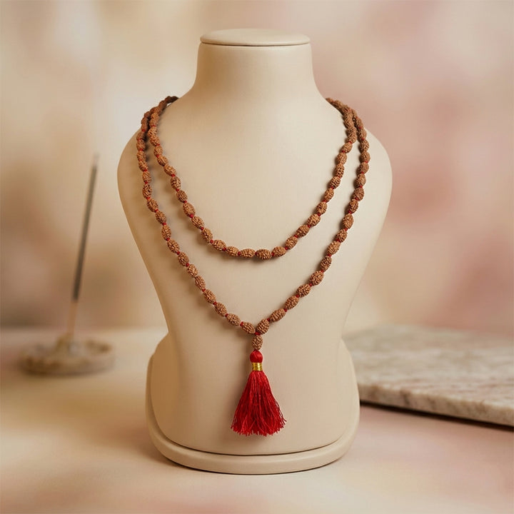2 Mukhi Rudraksha mala natural Indo two face Rudraksha for harmony. India’s Premium Rudraksha Jap Mala Brand - www.satvikworld.com