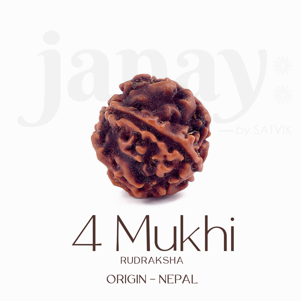 Certified 4 Mukhi natural brown Rudraksha bead placed on red cloth, representing wisdom, speech clarity, and blessings of Lord Brahma. India’s Largest Pooja Accessories Brand - www.satvikworld.com


