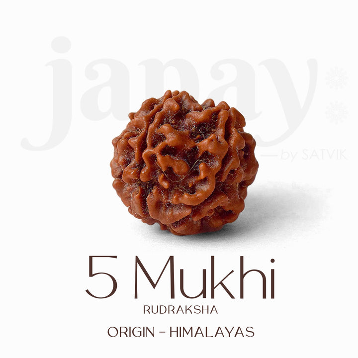 Certified 5 Mukhi Rudraksha Kantha Mala with brown natural beads, hand-strung for spiritual protection and meditation benefits. India’s Largest Pooja Accessories Brand - www.satvikworld.com
