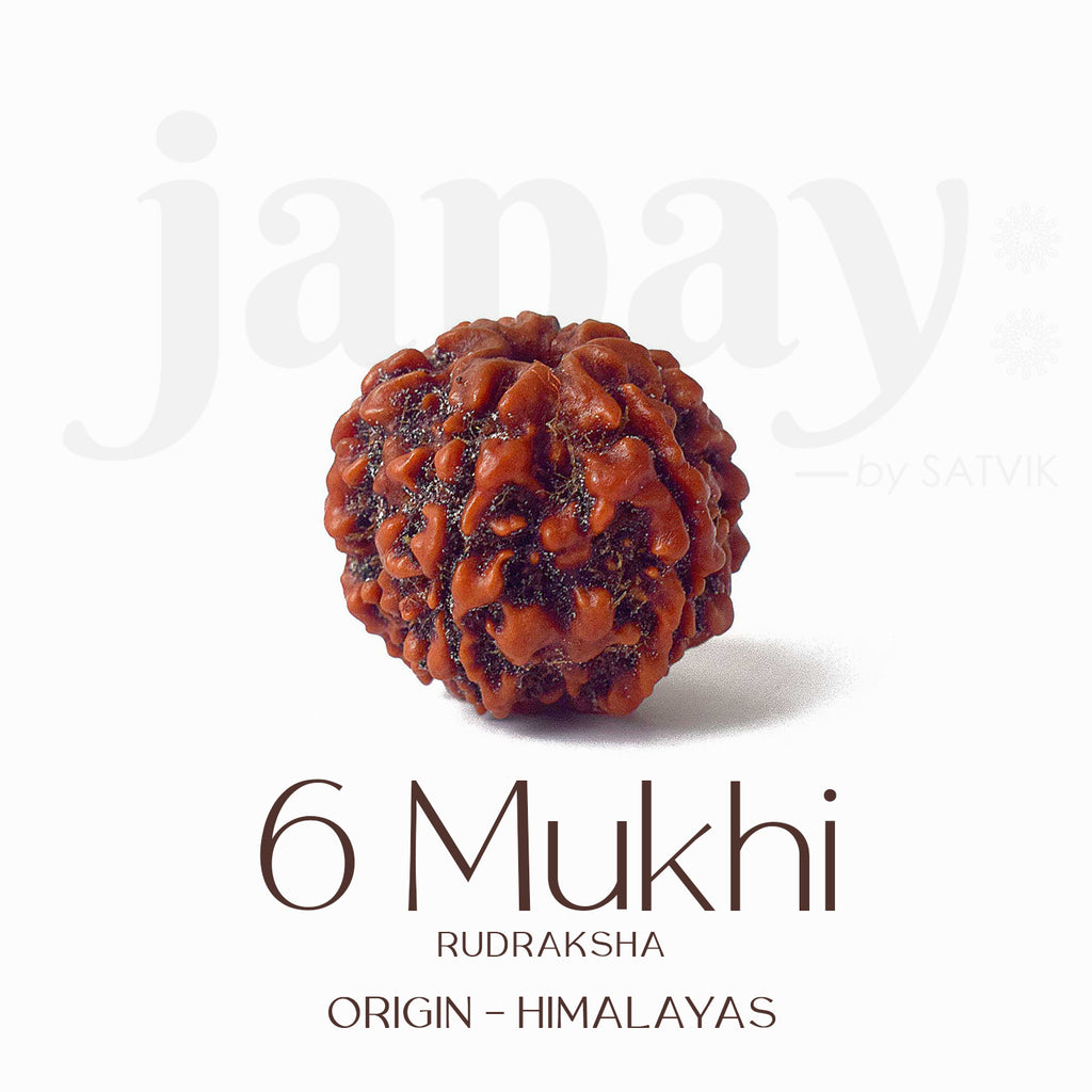 Certified 6 Mukhi brown Rudraksha bead placed on red fabric, symbolizing courage, focus, and inner discipline for spiritual and professional growth. India’s Largest Pooja Accessories Brand - www.satvikworld.com


