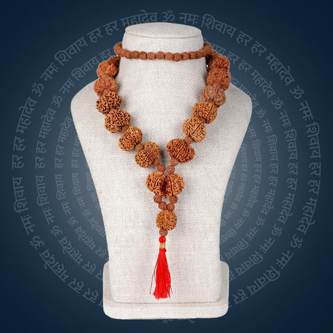 Siddha Mala with 1 Mukhi Underdeveloped Nepal collector grade Rudraksha thread mala. India’s Premium Rudraksha Jap Mala Brand - www.satvikworld.com
