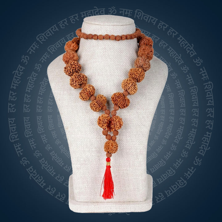 Siddha Mala with 1 Mukhi Underdeveloped Nepal collector grade Rudraksha thread mala. India’s Premium Rudraksha Jap Mala Brand - www.satvikworld.com