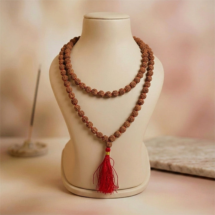 6 Mukhi Rudraksha mala natural Indo six face Rudraksha for confidence. India’s Premium Rudraksha Jap Mala Brand - www.satvikworld.com