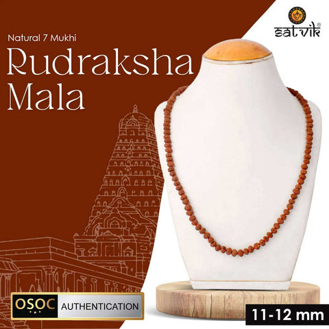 11-12 mm 7 mukhi rudraksha mala