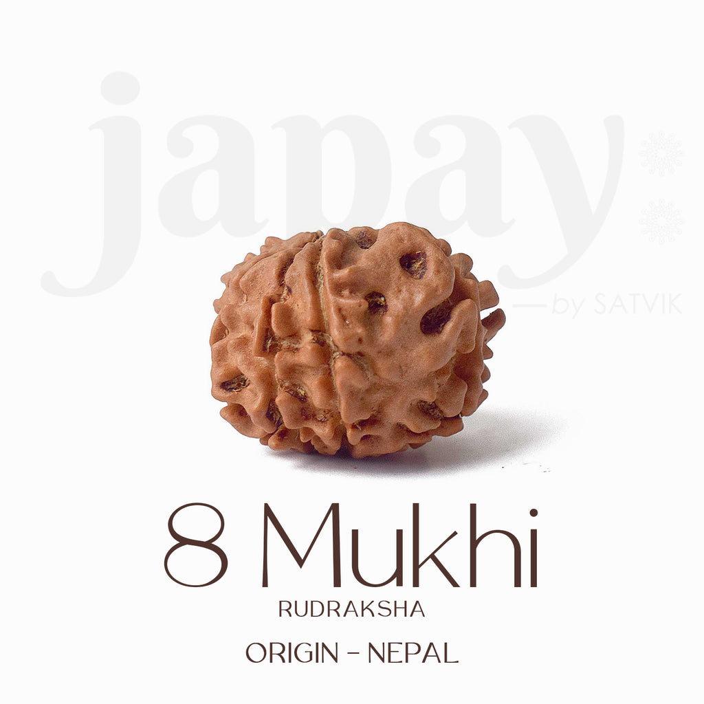 Certified 8 Mukhi Rudraksha bead in natural brown color from Indo origin placed on red cloth for success, clarity, and spiritual protection. India’s Largest Pooja Accessories Brand - www.satvikworld.com
