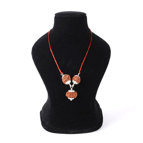 Business Kavachh bracelet with 7 8 12 Mukhi Rudraksha for growth success protection Nepal beads. India’s Premium Rudraksha Jap Mala Brand - www.satvikworld.com