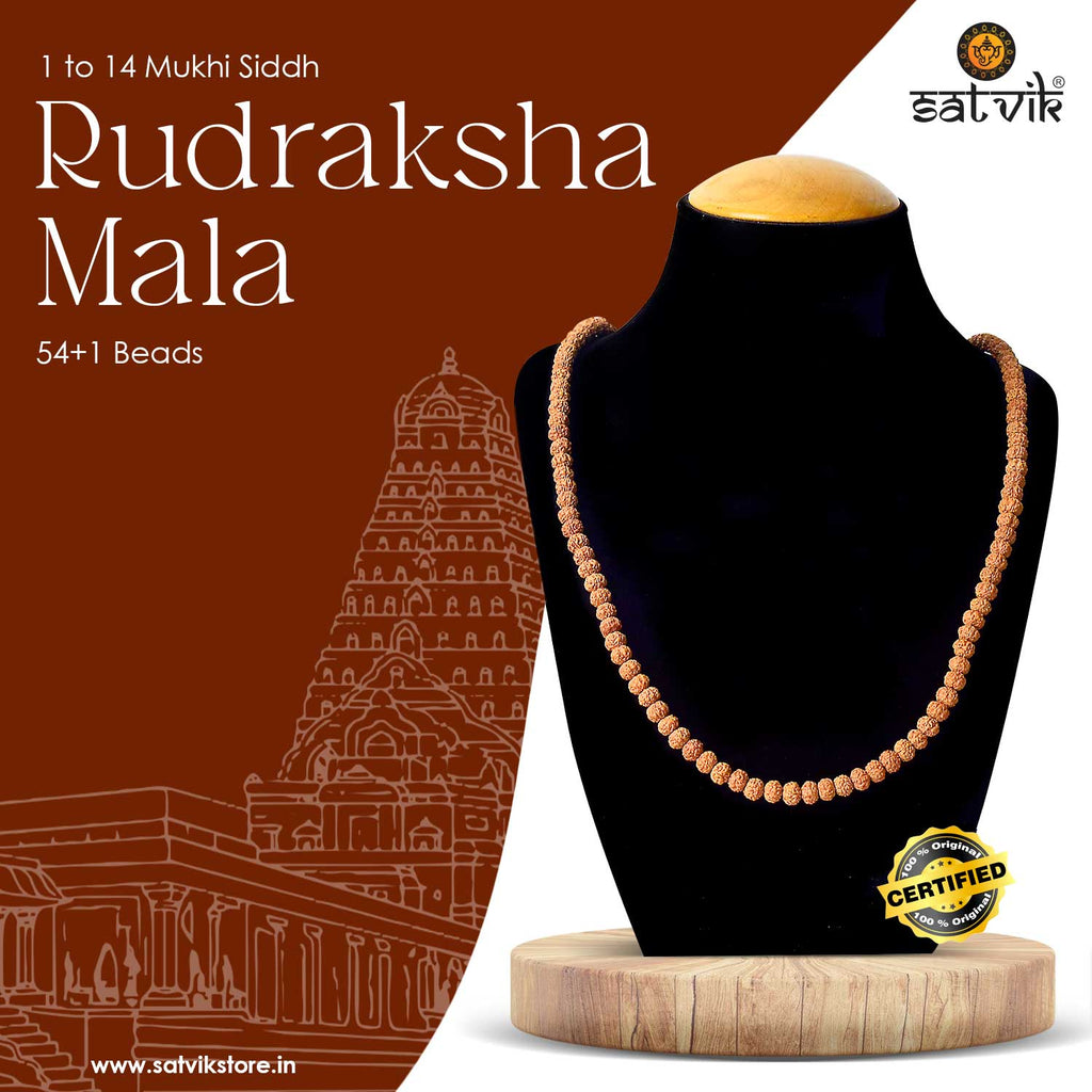 Certified 1 to 14 Mukhi Siddh Rudraksha Mala with brown beads and traditional capping – powerful spiritual necklace from Nepal. India’s Premium Rudraksha Jap Mala Store- www.satvikworld.com
