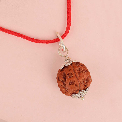 Certified 5 Mukhi Rudraksha Pendant with protective metal cap for peace and spiritual well-being. India’s Premium Rudraksha Jap Mala Store- www.satvikworld.com