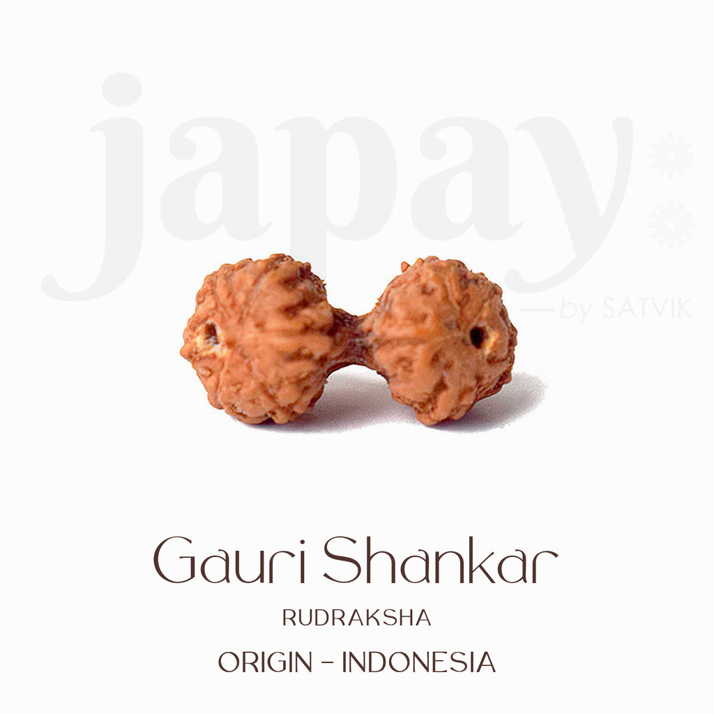 Certified Gauri Shankar Rudraksha bead in natural brown color from Indo origin placed on red cloth, symbolizing love, unity, and divine marital harmony. India’s Largest Pooja Accessories Brand - www.satvikworld.com
