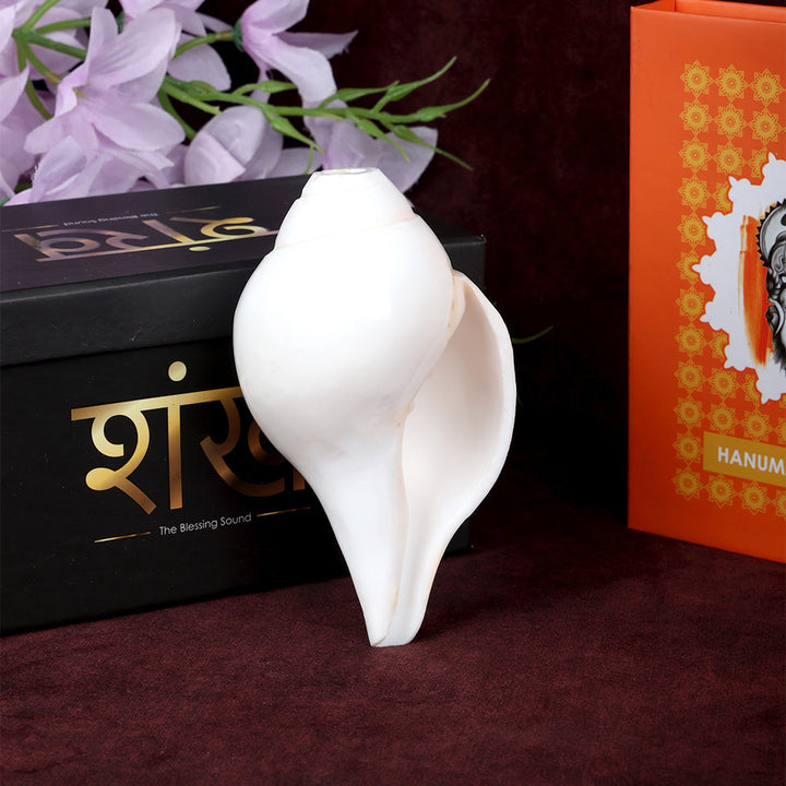 Natural 100% Original Vamavarti Shankha 5 Inch Blowing Conch for Pooja. India’s Largest Pooja Accessories Brand - www.satvikworld.com