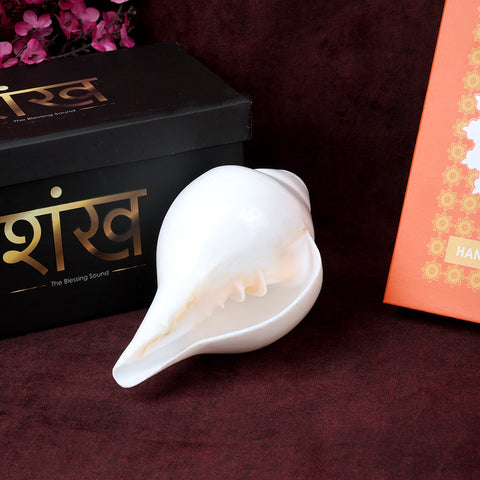 Natural 100% original sacred blowing Shankh 13 cm conch shell used for daily puja, temple rituals, and spiritual ceremonies. 
India’s Largest Pooja Accessories Brand – www.satvikworld.com
