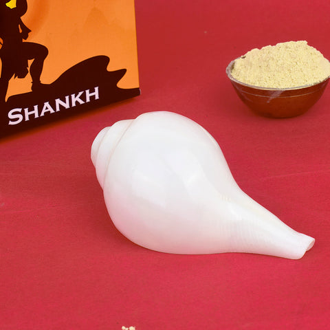 Natural Vamavarti Shankh (Conch Shell) measuring 4.5 inches in white color, ideal for spiritual rituals and daily pooja use. India’s Largest Pooja Accessories Brand – www.satvikworld.com