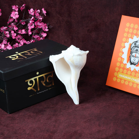 Sacred Dakshinavarti Valampuri Shankh 12.7 cm natural right-handed conch shell for puja, vastu, and spiritual rituals. India’s Largest Pooja Accessories Brand – www.satvikworld.com

