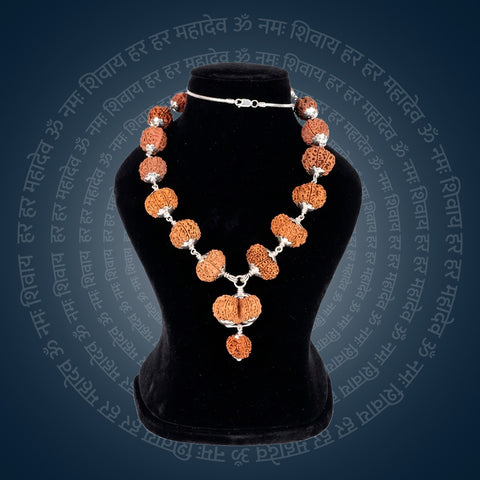 Siddha Mala with 1 Mukhi Sawar Nepal collector grade silver chain Rudraksha mala. India’s Premium Rudraksha Jap Mala Brand - www.satvikworld.com