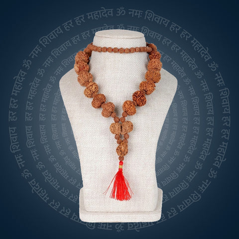 Siddha Mala with 5+1 Sawar Rudraksha Nepal collector grade mala. India’s Premium Rudraksha Jap Mala Brand - www.satvikworld.com