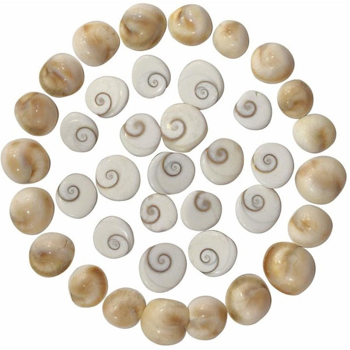 Gomti Chakra 51 Pcs Puja Store Online Pooja Items Online Puja Samagri Pooja Store near me www.satvikstore.in