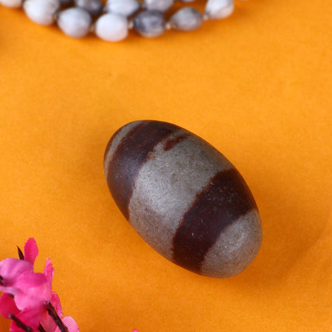 Narmadeshwar Shivling for Worship – Natural Shiva Lingam from Narmada River – India’s Largest Pooja Accessories Brand – www.satvikworld.com